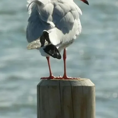 Tamm-voss Holiday home *