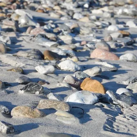 Ferienhaus Tamm-voß *